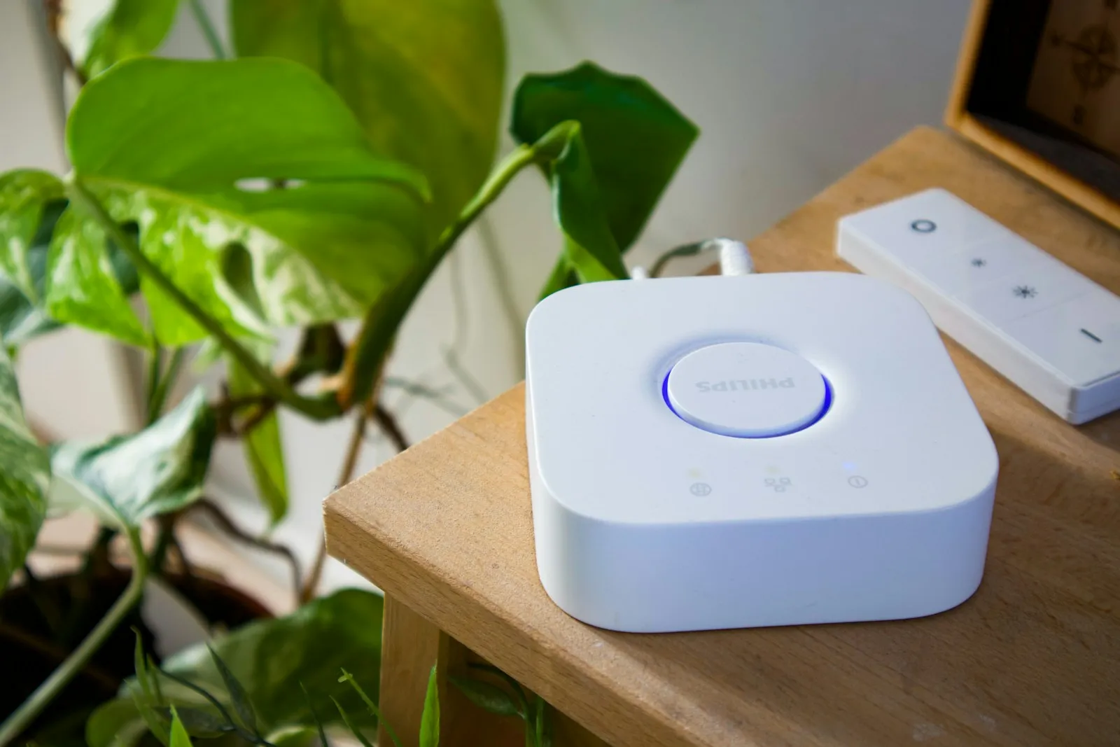 Home Assistant Beveiliging: Zo Beveiligt u Uw Smart